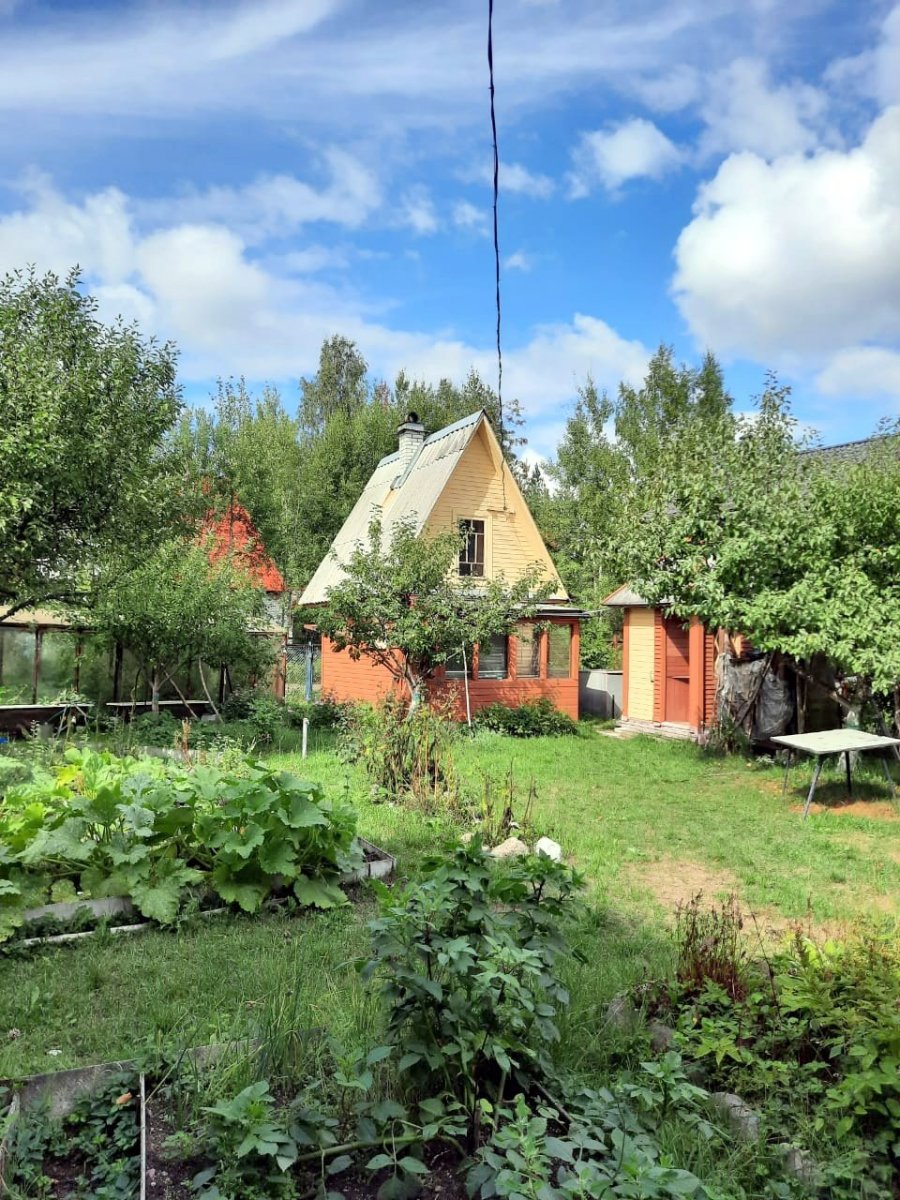 Купить Дом В Снт Выборгского Района