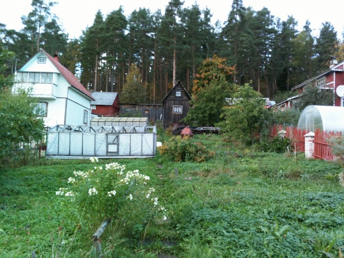 Купить Загородный дом 30 кв.м с участком 904 кв.м в Лахденпохский район  Республика Карелия (№222533)