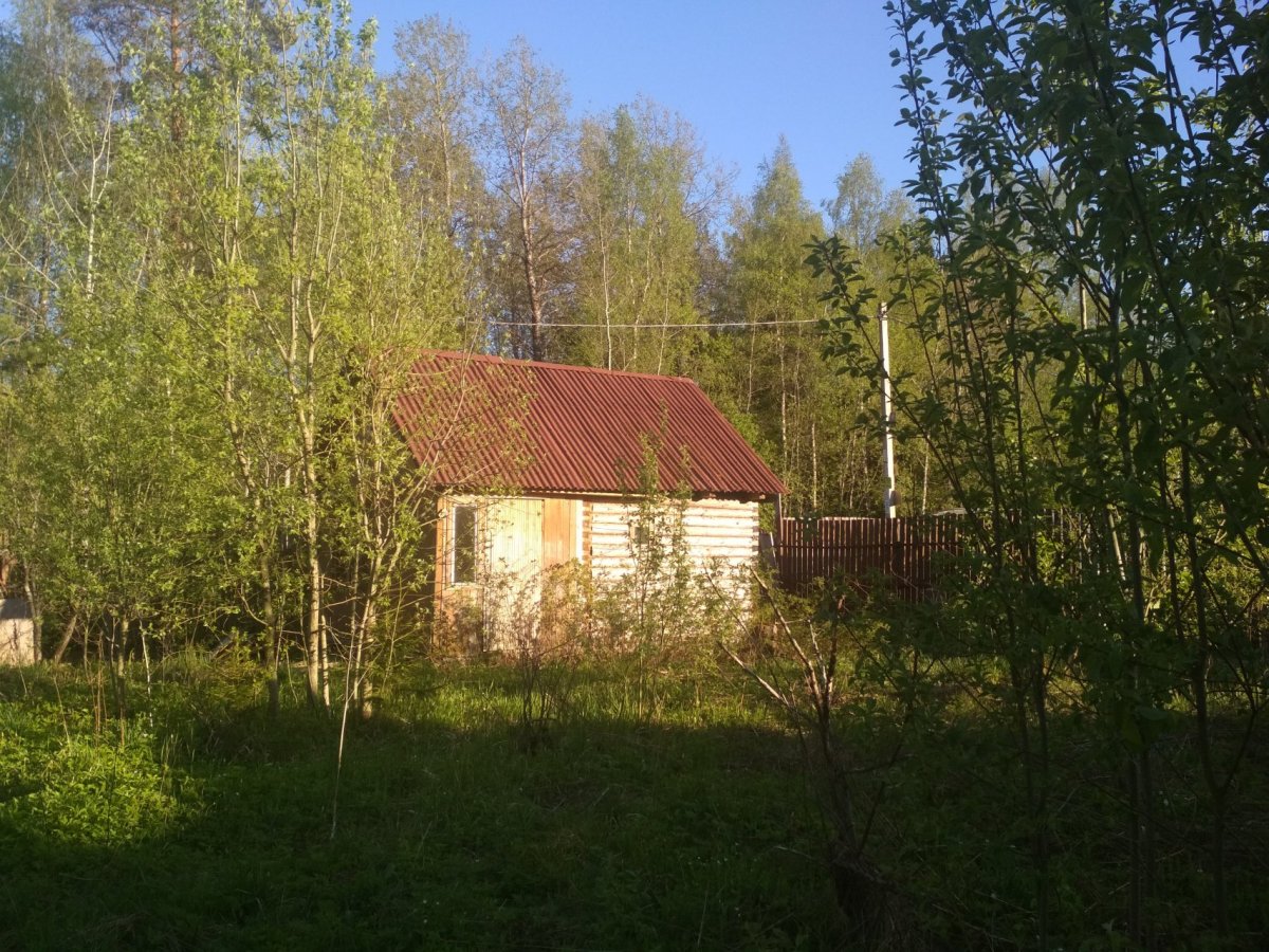 Фауна ломоносовский. СНТ фауна Ломоносовский район. СНТ фауна Чеховский район. СНТ "фауна", "Пениковское сельское поселение". Гостилицкое ш, СНТ «фауна».