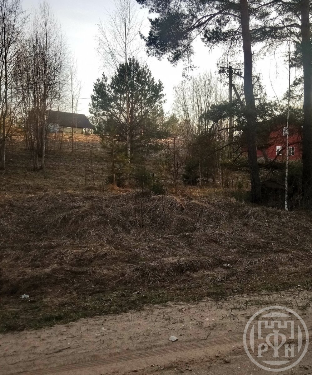 поселок левашово санкт-петербург выборгский район. хиттолово южная 30а. карелия хиттолово. какие в романовке есть дома в продажу. глинки федоровское.