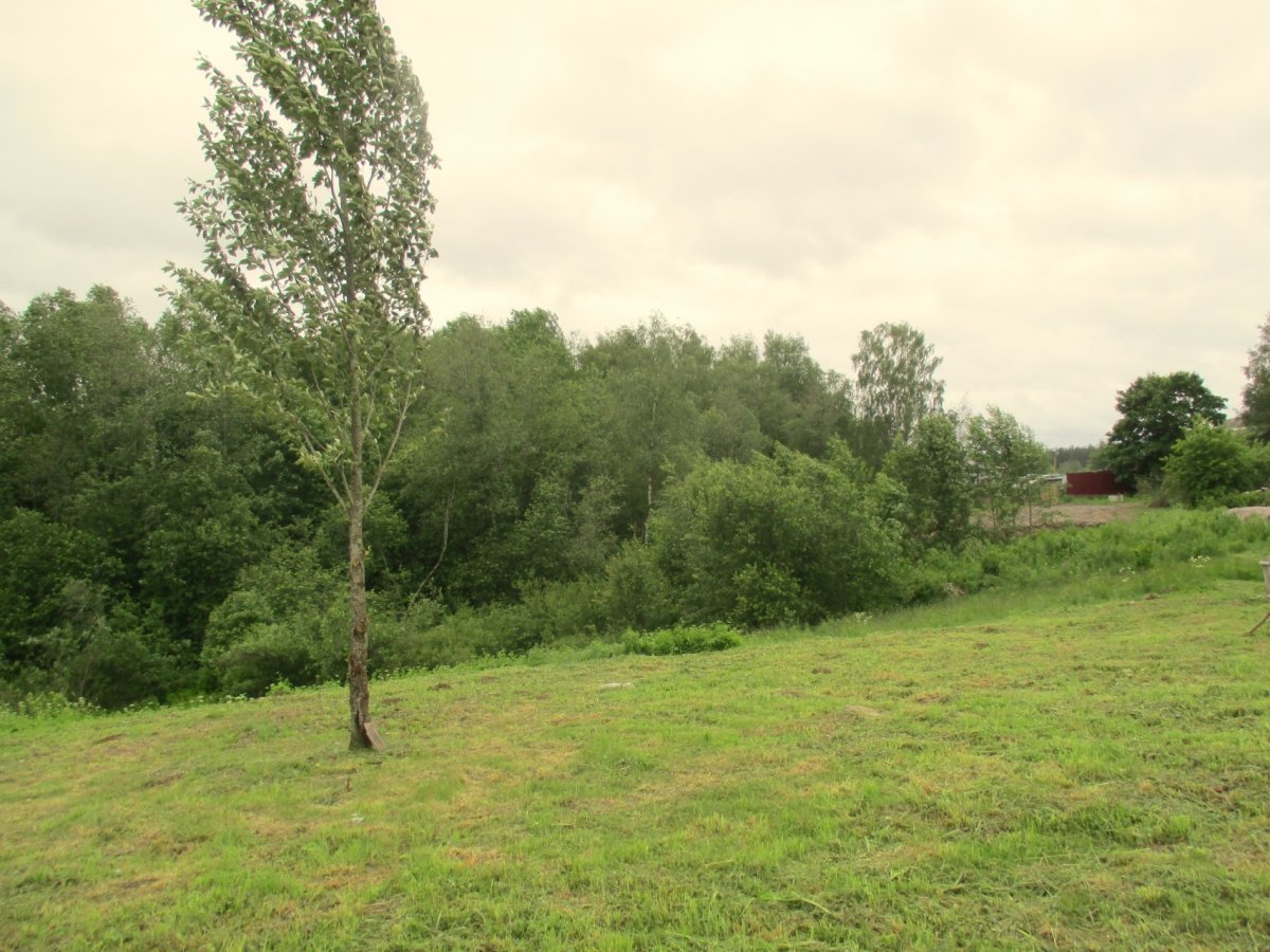 Староселье белгородская область. Деревня Староселье Тверская область. Деревня Староселье Ленинградской области озеро глубокое. Смоленская область поселок Староселье фото. Поселок Староселье фото поселка.