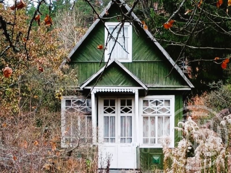 Земельный участок каждому гражданину. Приватизация садового участка. Предоставление земли для строительства. Приватизация земельных участков. Участок в собственности.