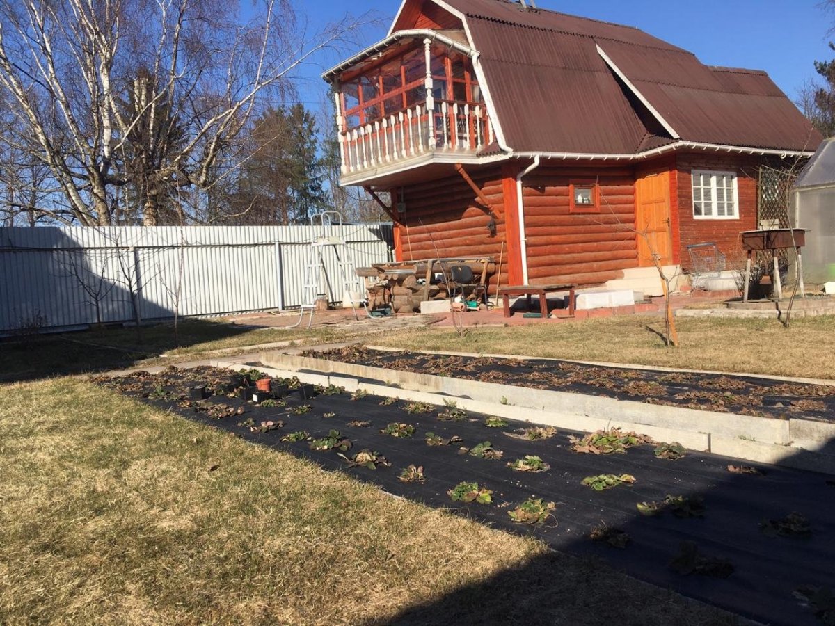 Купить Загородный дом 100 кв.м с участком 5.1 сот. в Ломоносовский район  Ленинградская область (№270153)