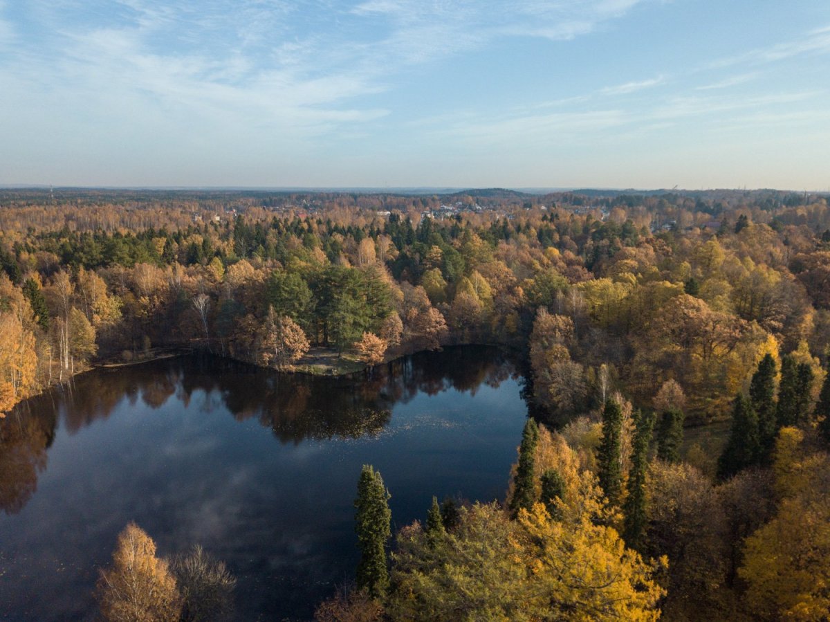 Купить Загородный дом 440 кв.м с участком 15 сот. в Всеволожский район  Ленинградская область (№243015)