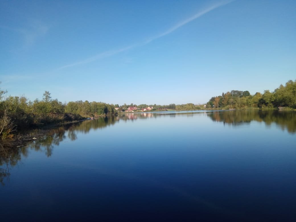 Озеро заклинское лужский район фото