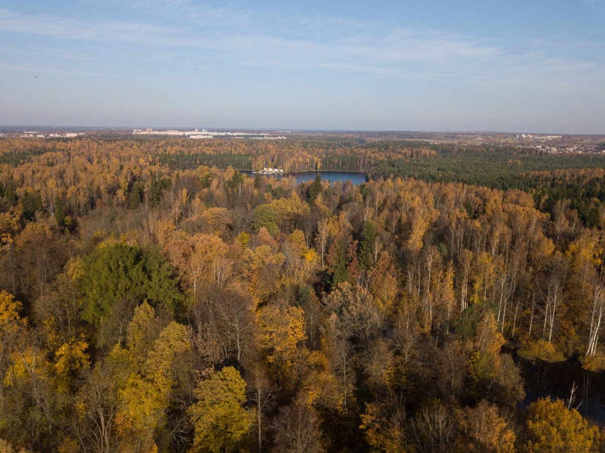 Купить Загородный дом 440 кв.м с участком 15 сот. в Всеволожский район  Ленинградская область (№243015)