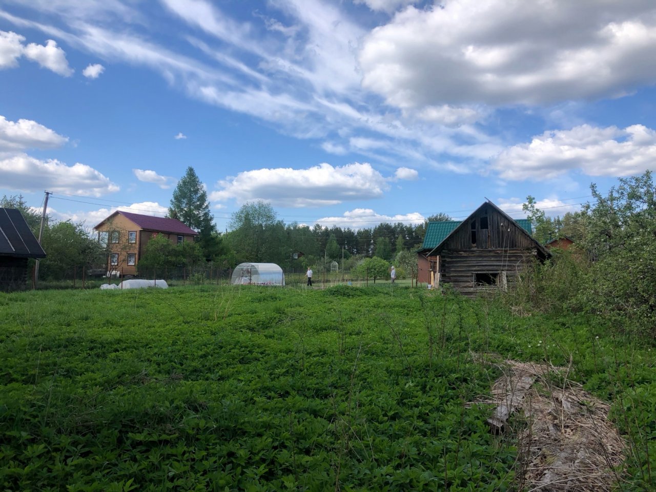 Купить Участок В Деревне Лужского Района