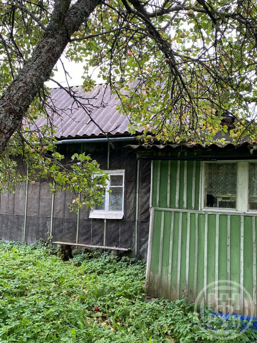 Погода заклинское поселение ленинградская область лужский. Погода заклинское поселение ленинградская область лужский. Погода заклинское поселение ленинградская область лужский. Заклинье (заклинское сельское поселение). Заклинье (заклинское сельское поселение).