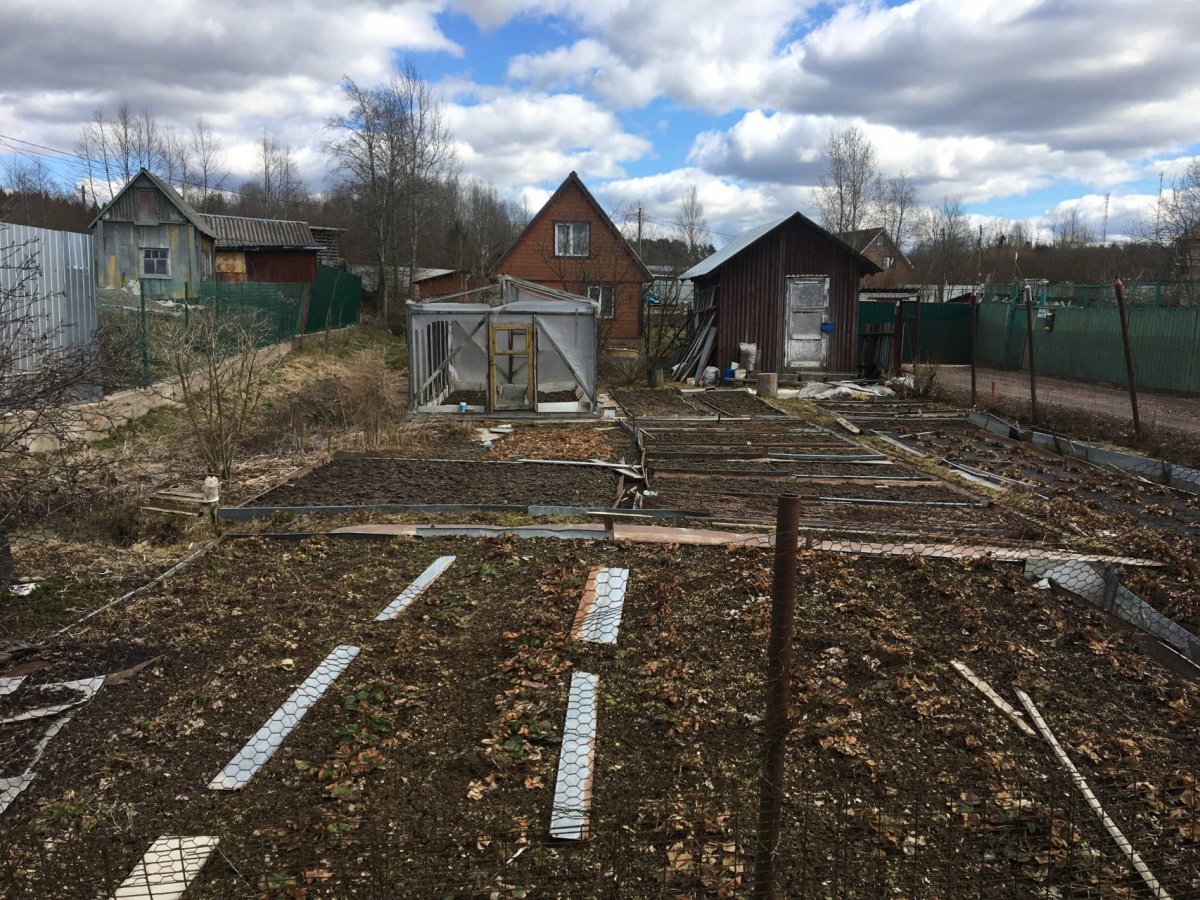 Погода в первомайском выборгский на 10