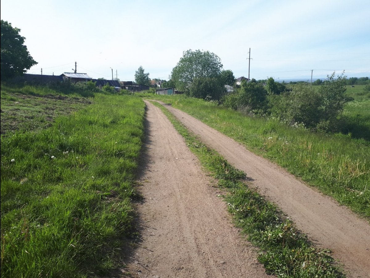 Деревня пеники ломоносовский. Пеники Ленинградская область. Пеники фото.