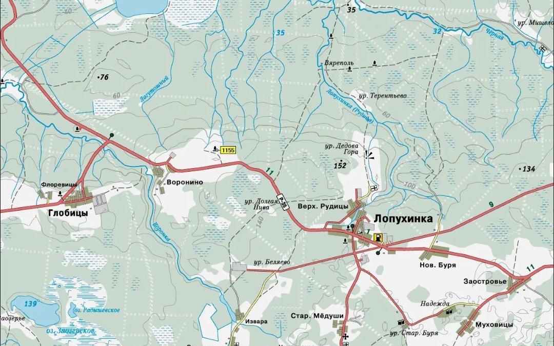 Карта ленинградской области лопухинка