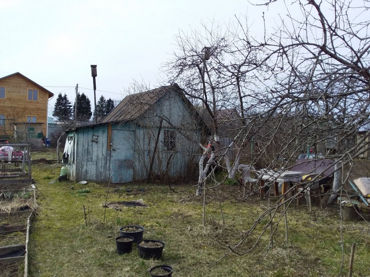 Поселок дзержинское. Луга Совхоз Дзержинского.