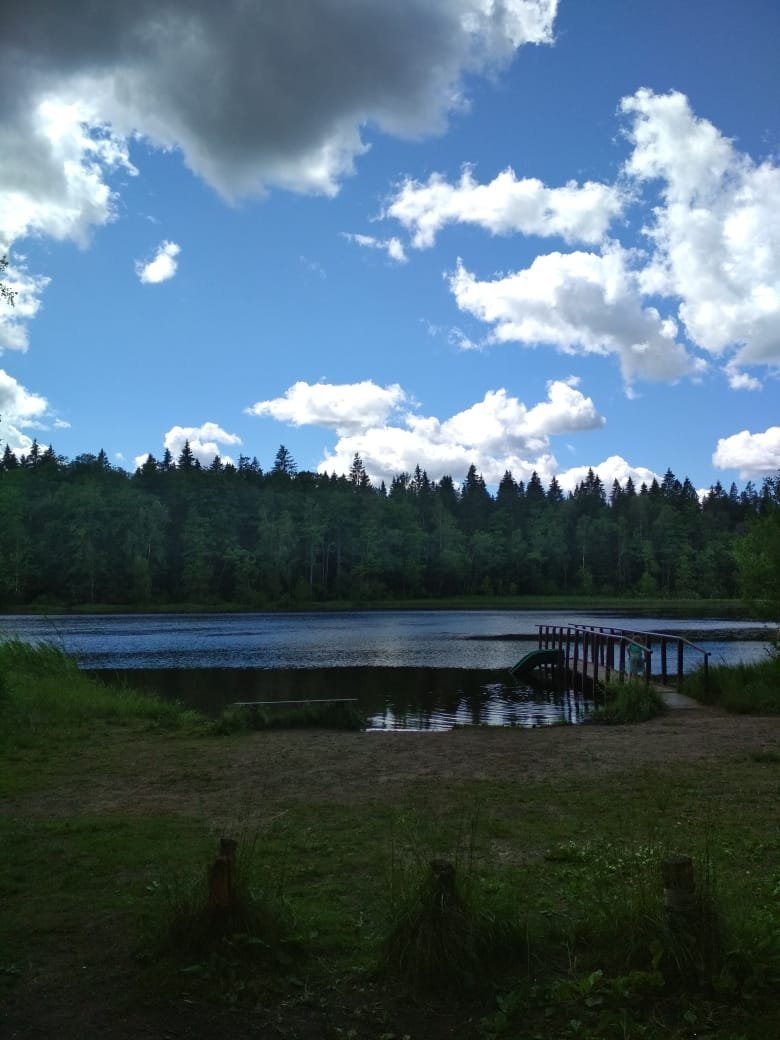 Купить Загородный дом 25 кв.м с участком 6 сот. в Выборгский район  Ленинградская область (№252691)