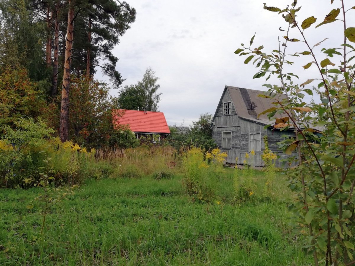 Купить Дачу Рощино Снт