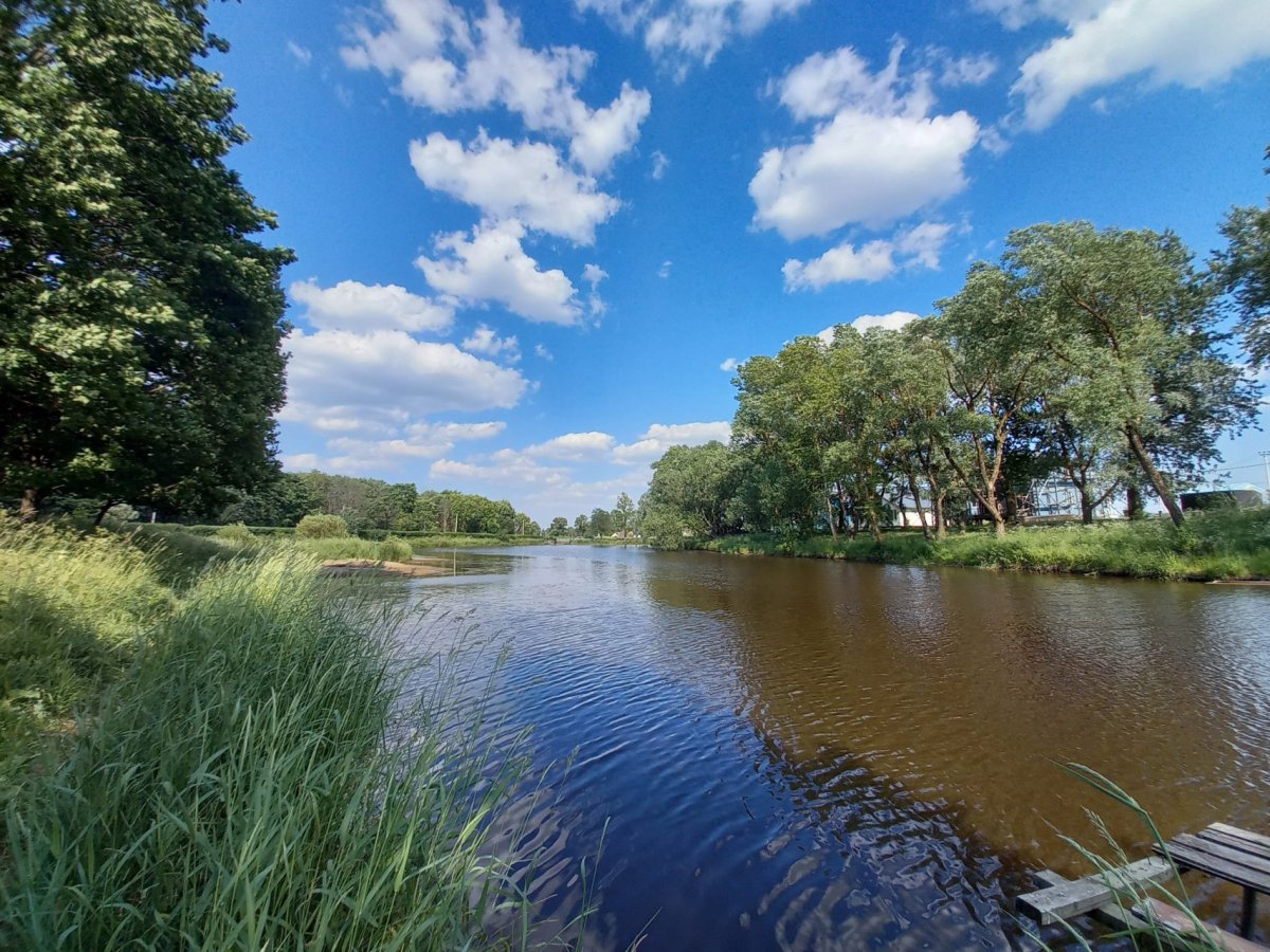 Водоёмы Ропша