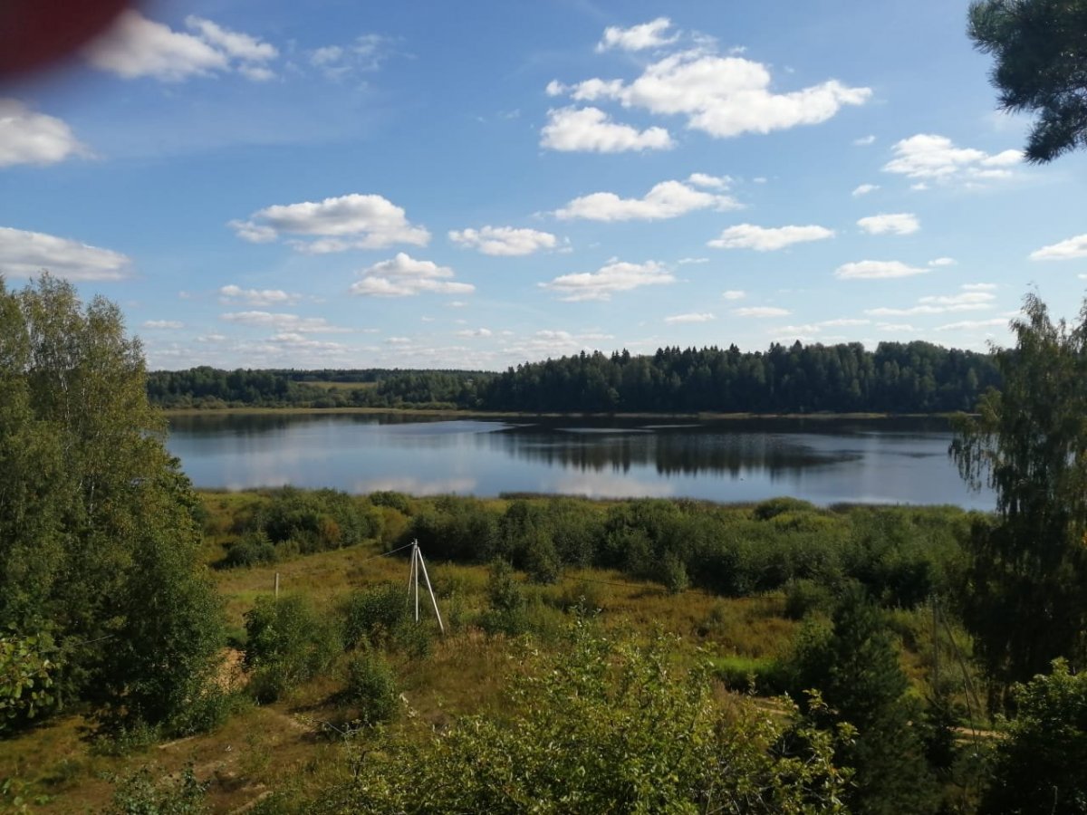 Торковичи лужский район фото