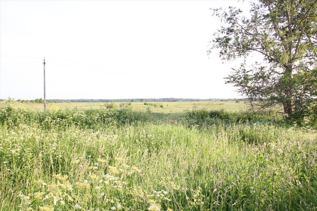 Купить Участок В Городе Орле