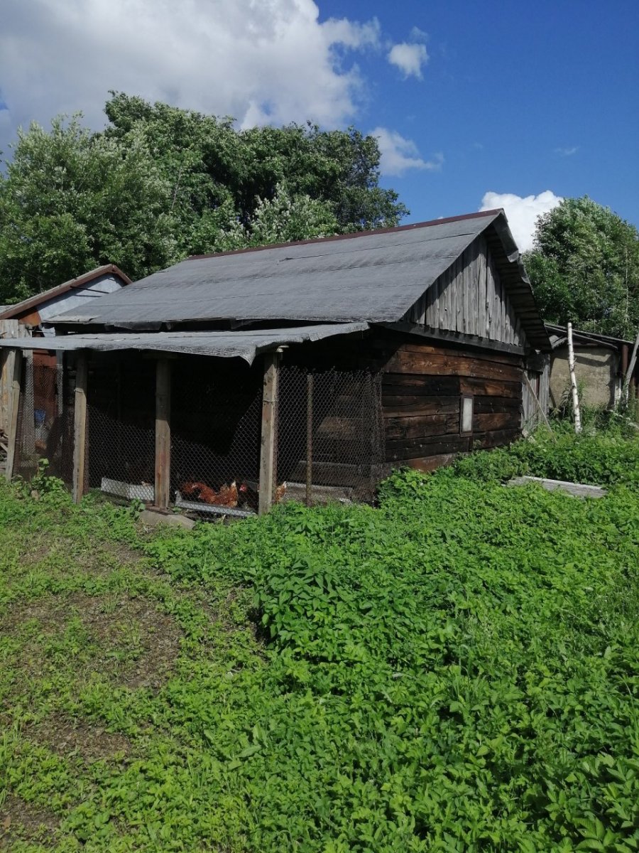 Погода в Рапполово.