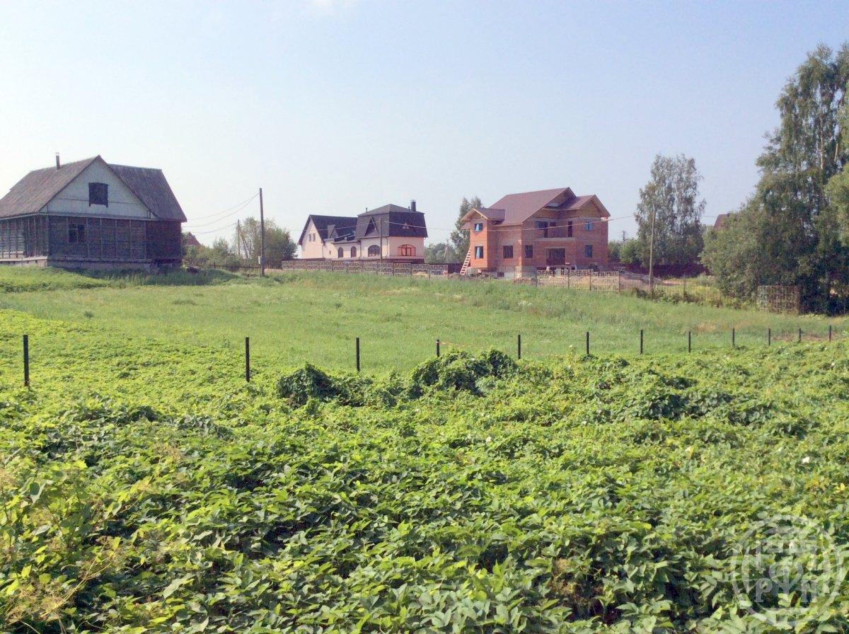 Купить Участок В Поселке Озерки