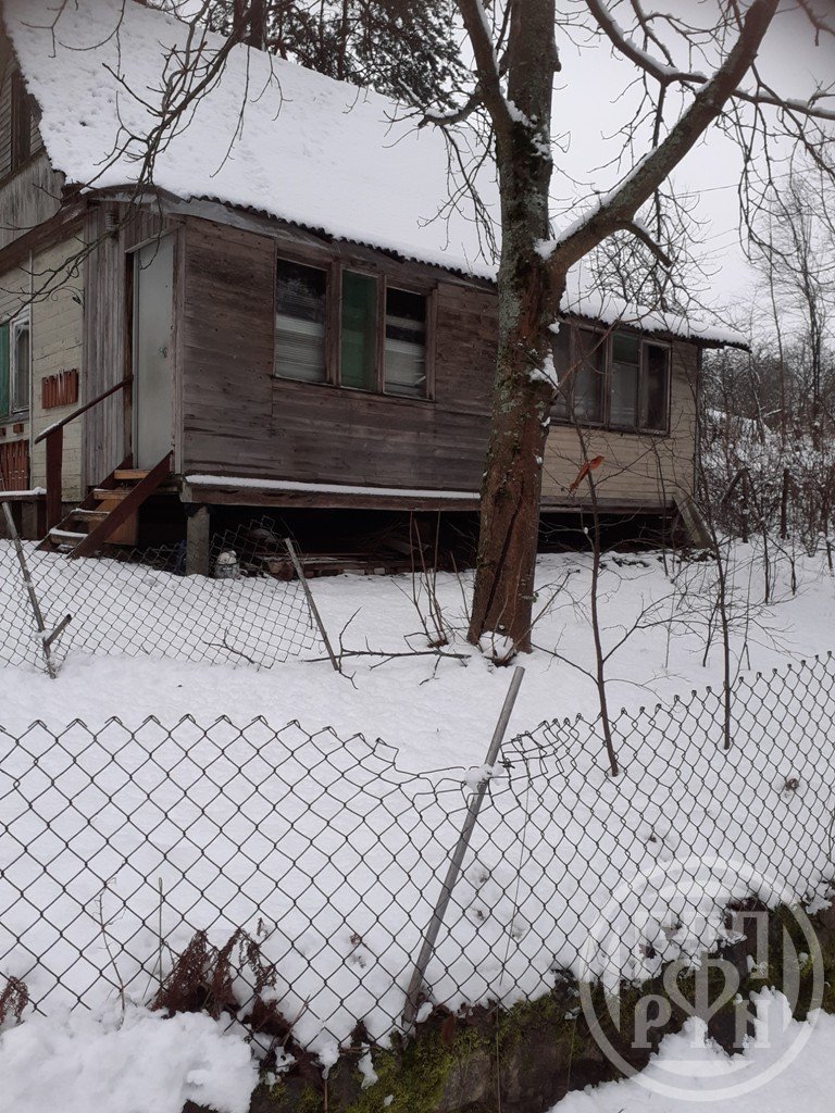 Спб п. Выбираем дачу. Дружное 4. Снт дружное 3. Снт дружный чайковский.
