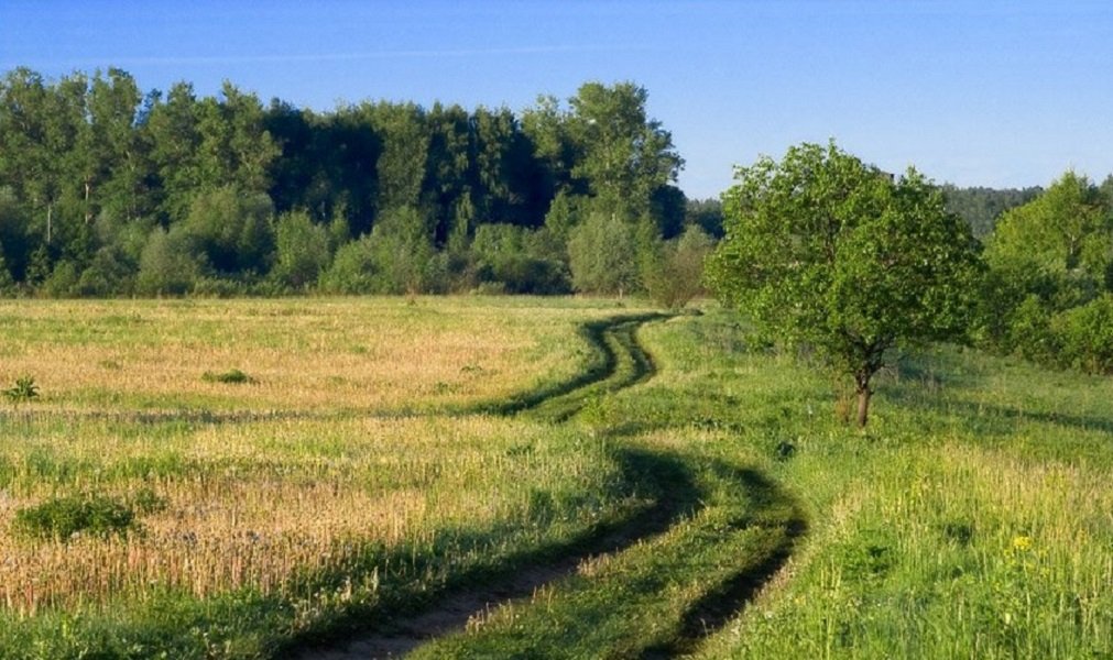 Купить Участок В Поле В Коротать