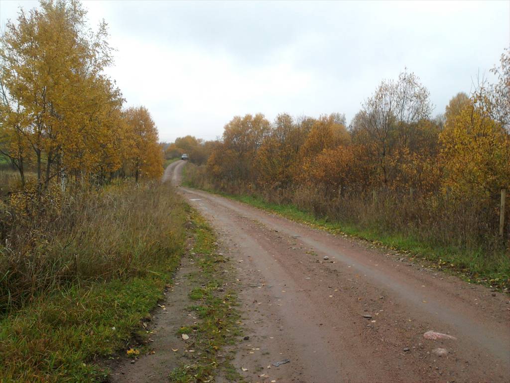 синицыно выборгский фото теплового баланса