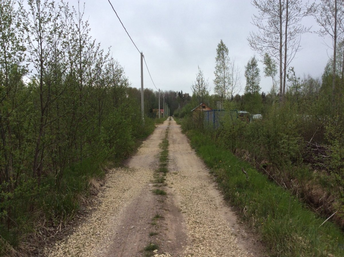 Прогноз погоды в померанье ленинградской. Деревня Померанье Ленинградской области. СНТ Ручеек Сосновый Бор. Померанье Садоводство. Население деревни Померанье Тосненского района.