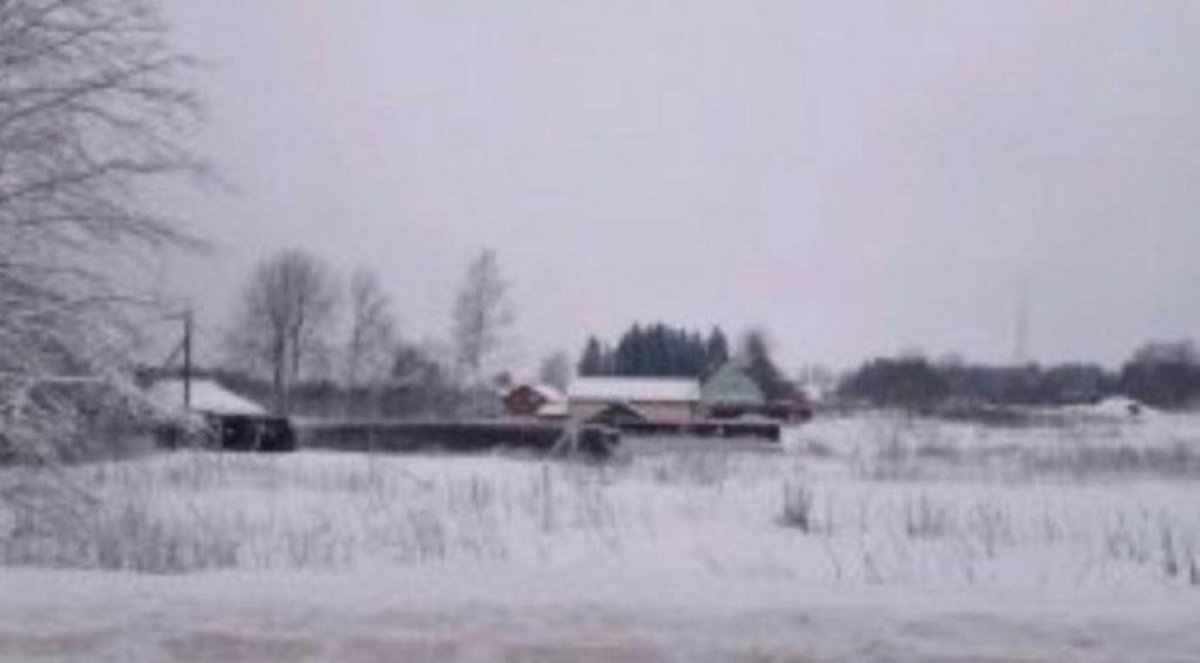 Погода в ольшаниках выборгского р на ленобласти. Купить участок в ЛО.