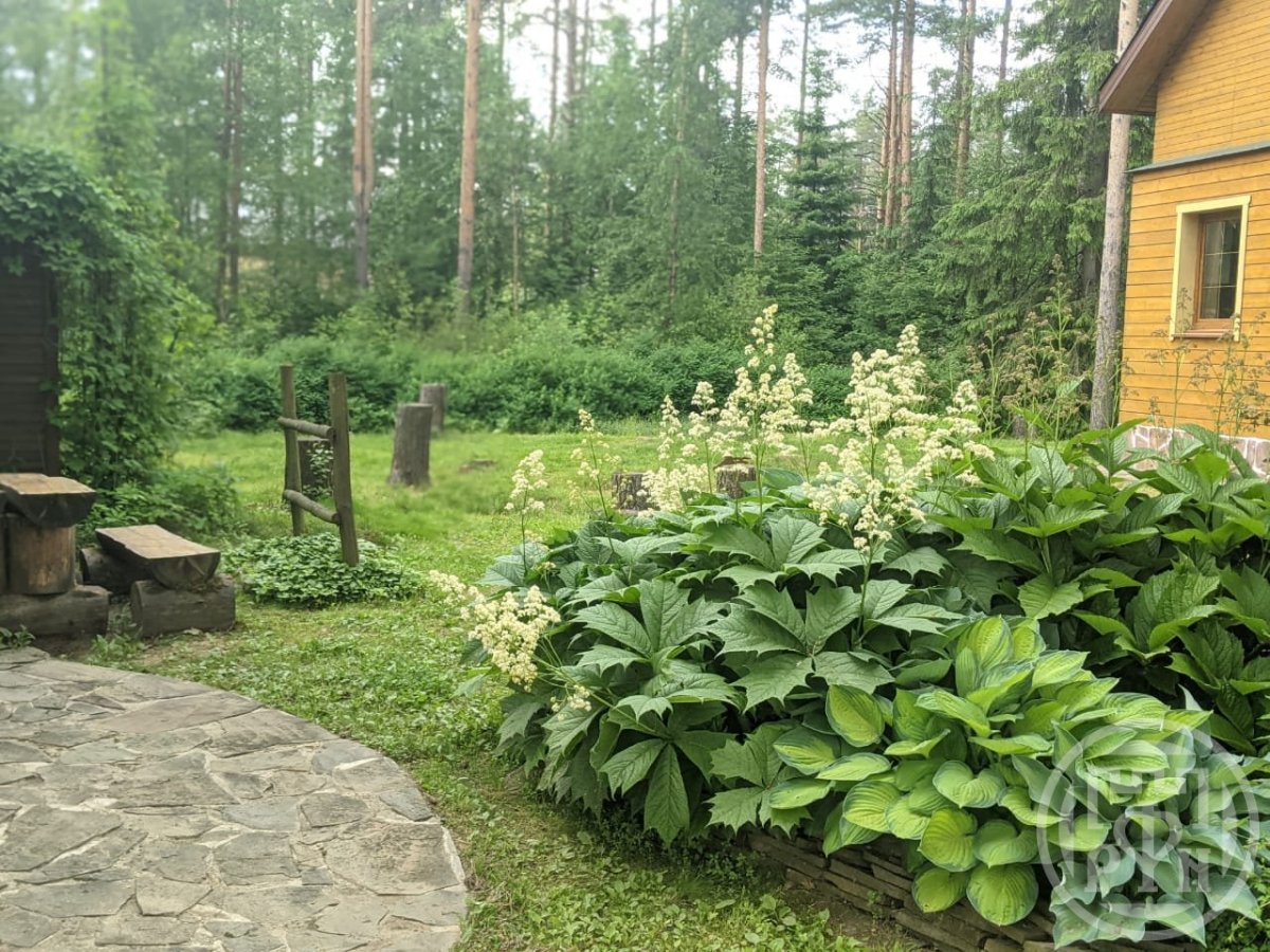 4 линия отзывы. Всеволожск 4 я линия.