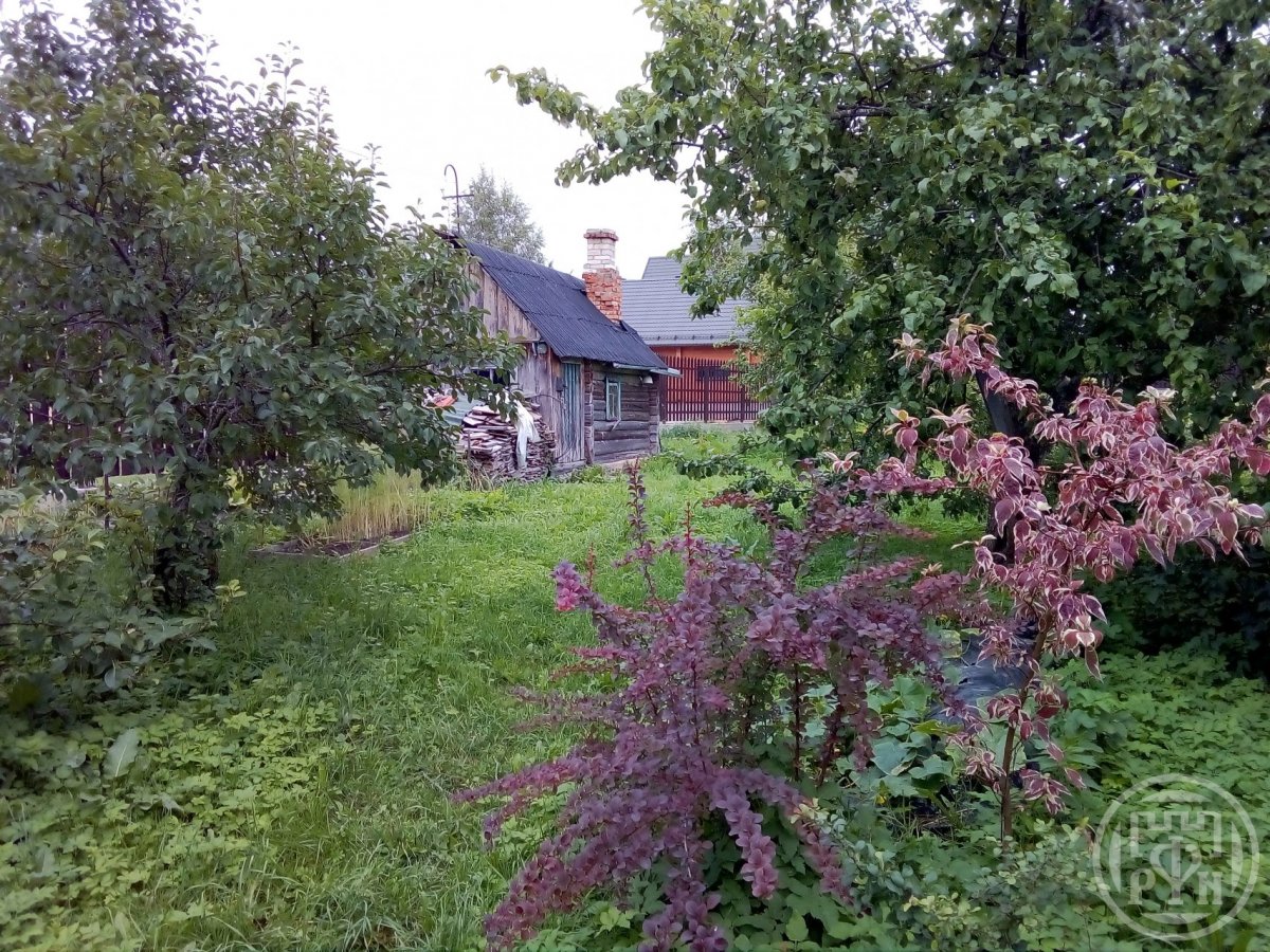 погода слапи. слапы. погода слапи. участок в д. слапи лужский район.