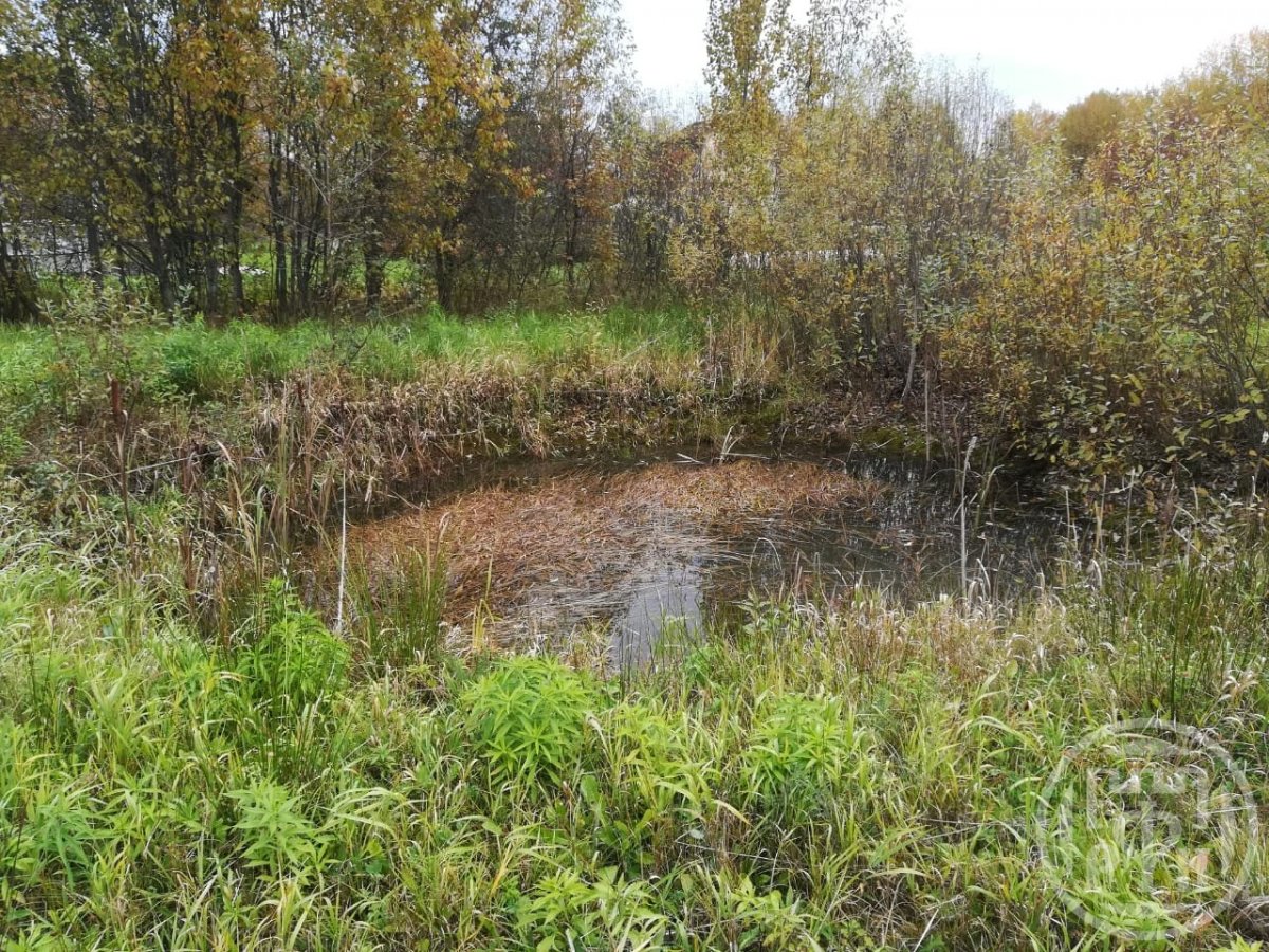 погода слапи. дома под лугой. слапи лужского. слапи лужский район. деревня слапи лужский район.