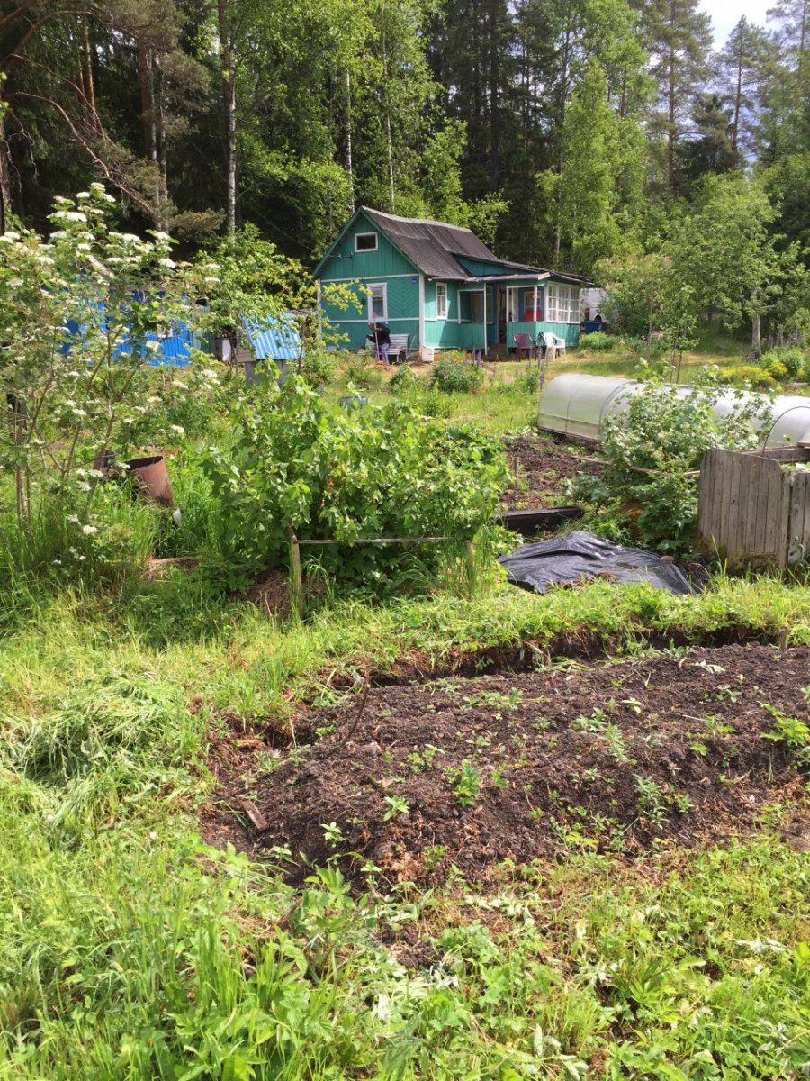 Купить Загородный дом 49 кв.м с участком 17.5 сот. в Выборгский район  Ленинградская область (№247954)