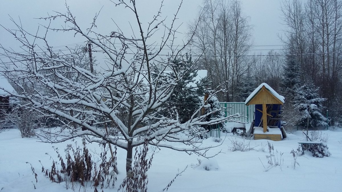 Купить Загородный дом 50 кв.м с участком 12 сот. в Выборгский район  Ленинградская область (№292790)