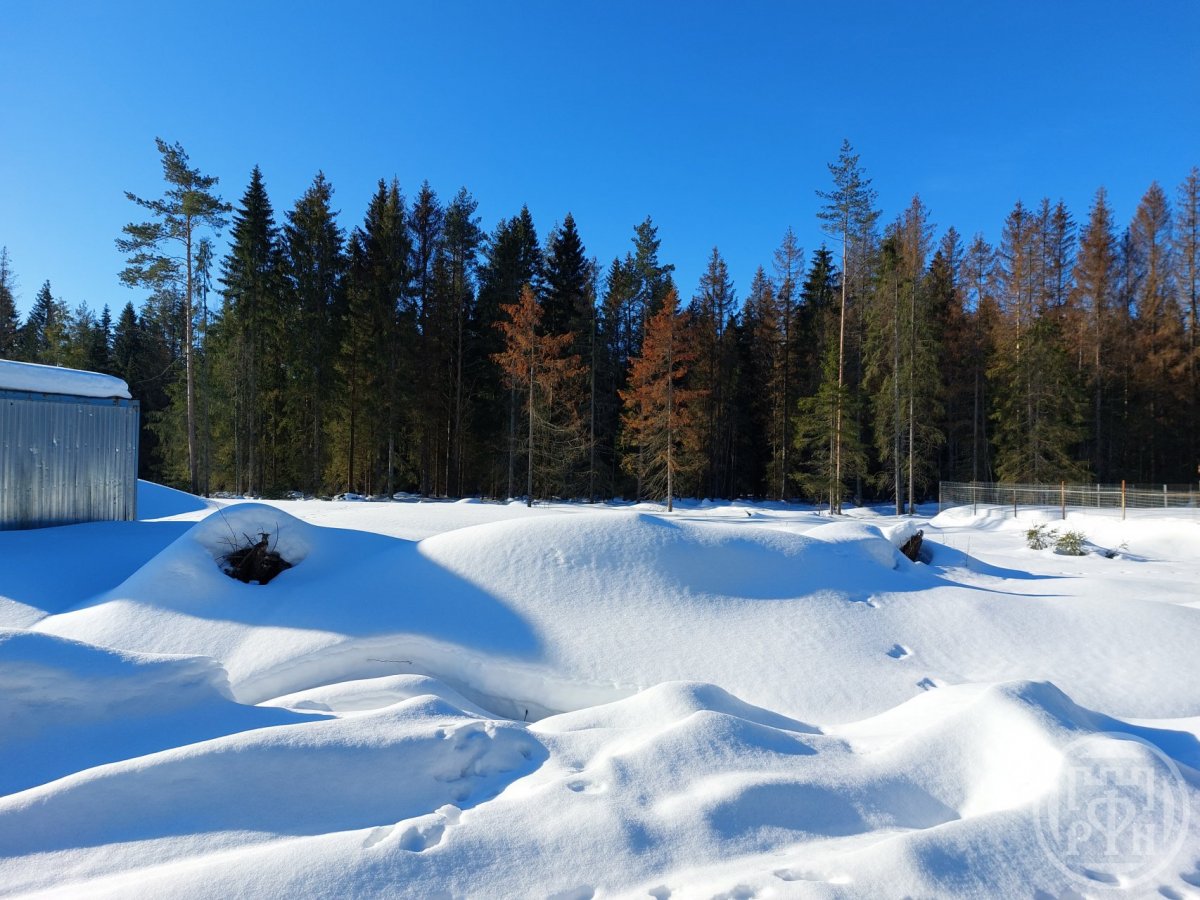 Купить Участок В Ленинградской Области Всеволожский Район