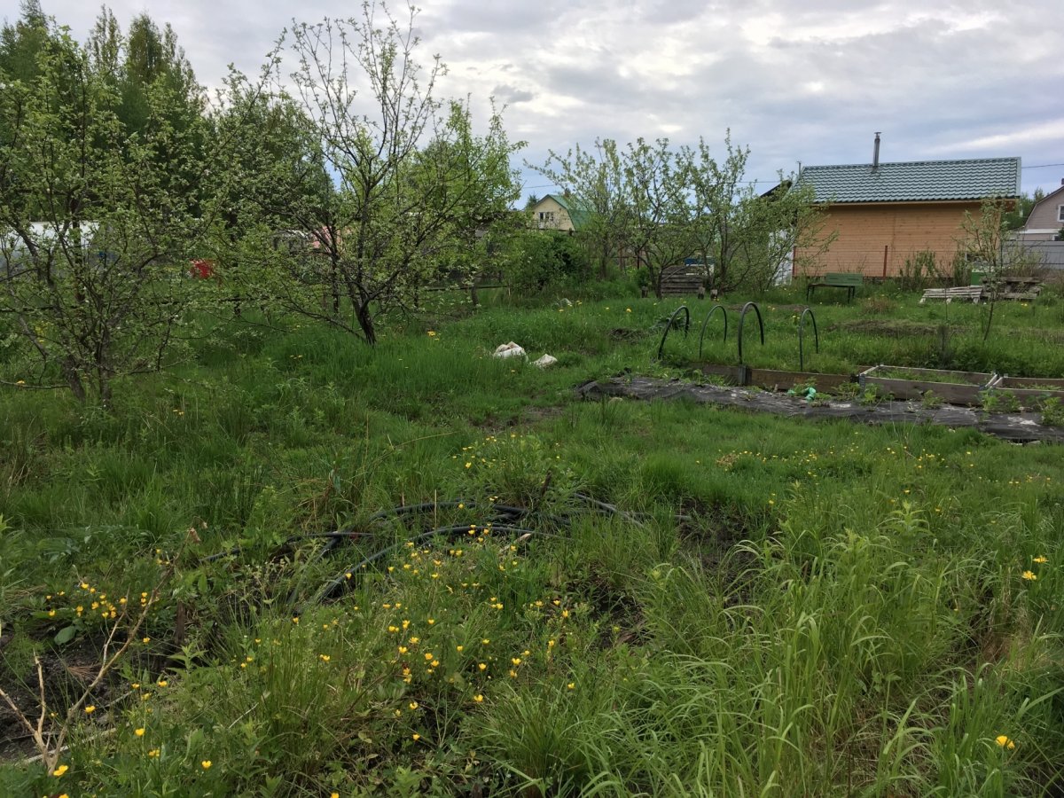 Погода поги тосненский. СНТ Родничок массив поги Тосненский р-н. Деревня поги Ленинградская область.