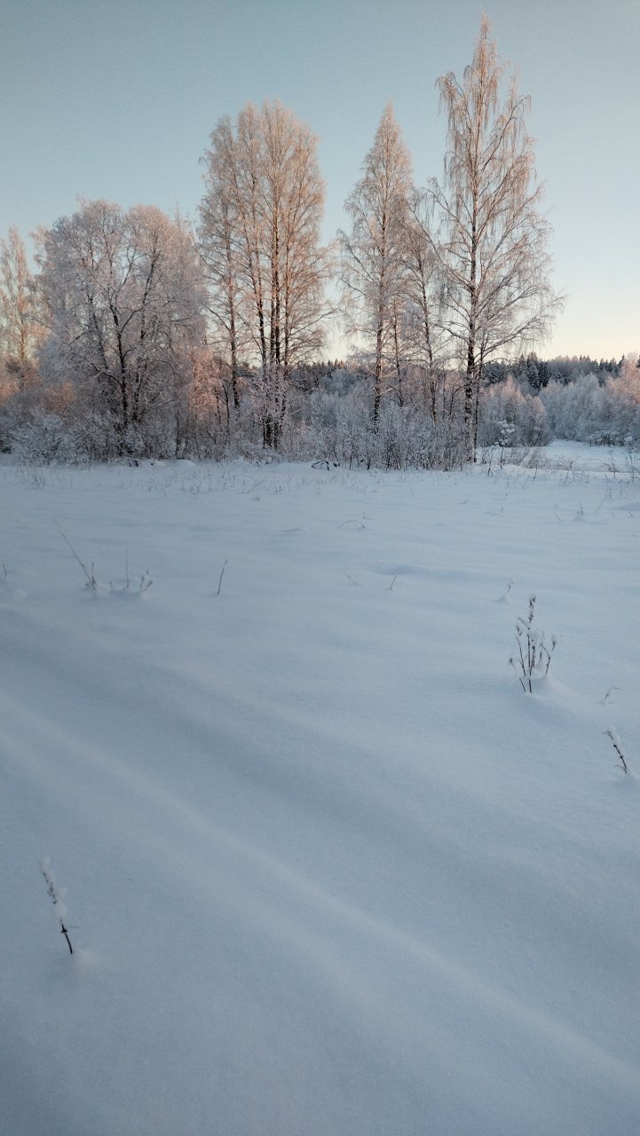 Продажа участка, Раздолье, Центральная ул.