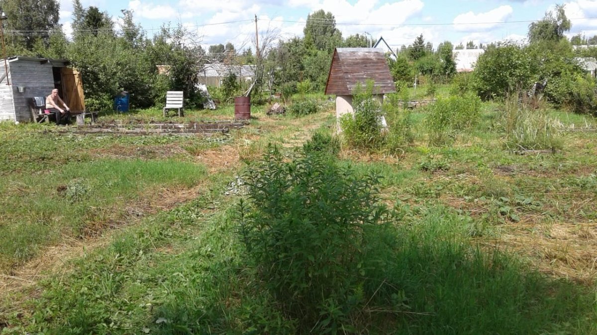 Участки в лужском районе. Мшинская СНТ Дружба.