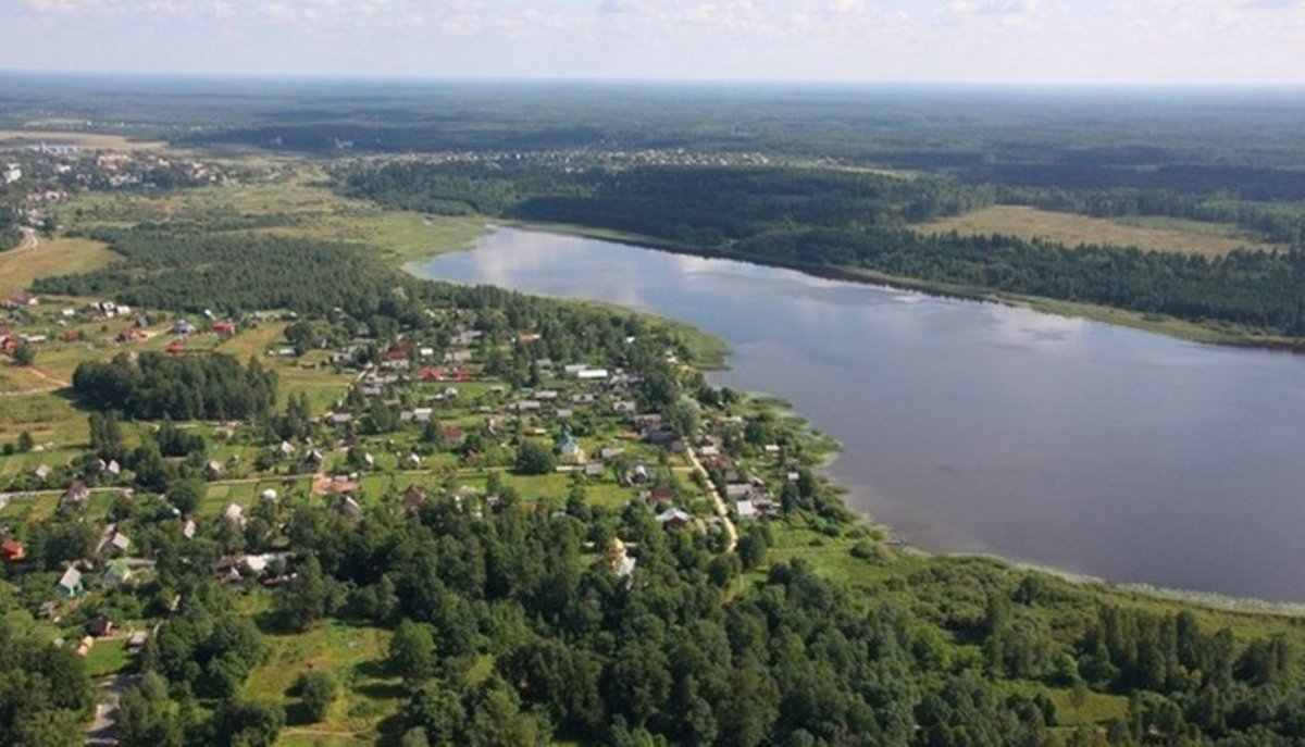 Купить Загородный дом 100 кв.м с участком 10 сот. в Гатчинский район  Ленинградская область (№245342)