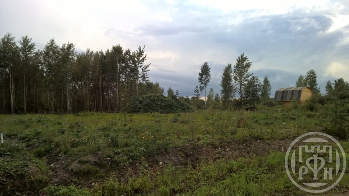 Синявинское городское поселение массив восход. Синявинское городское поселение массив восход
