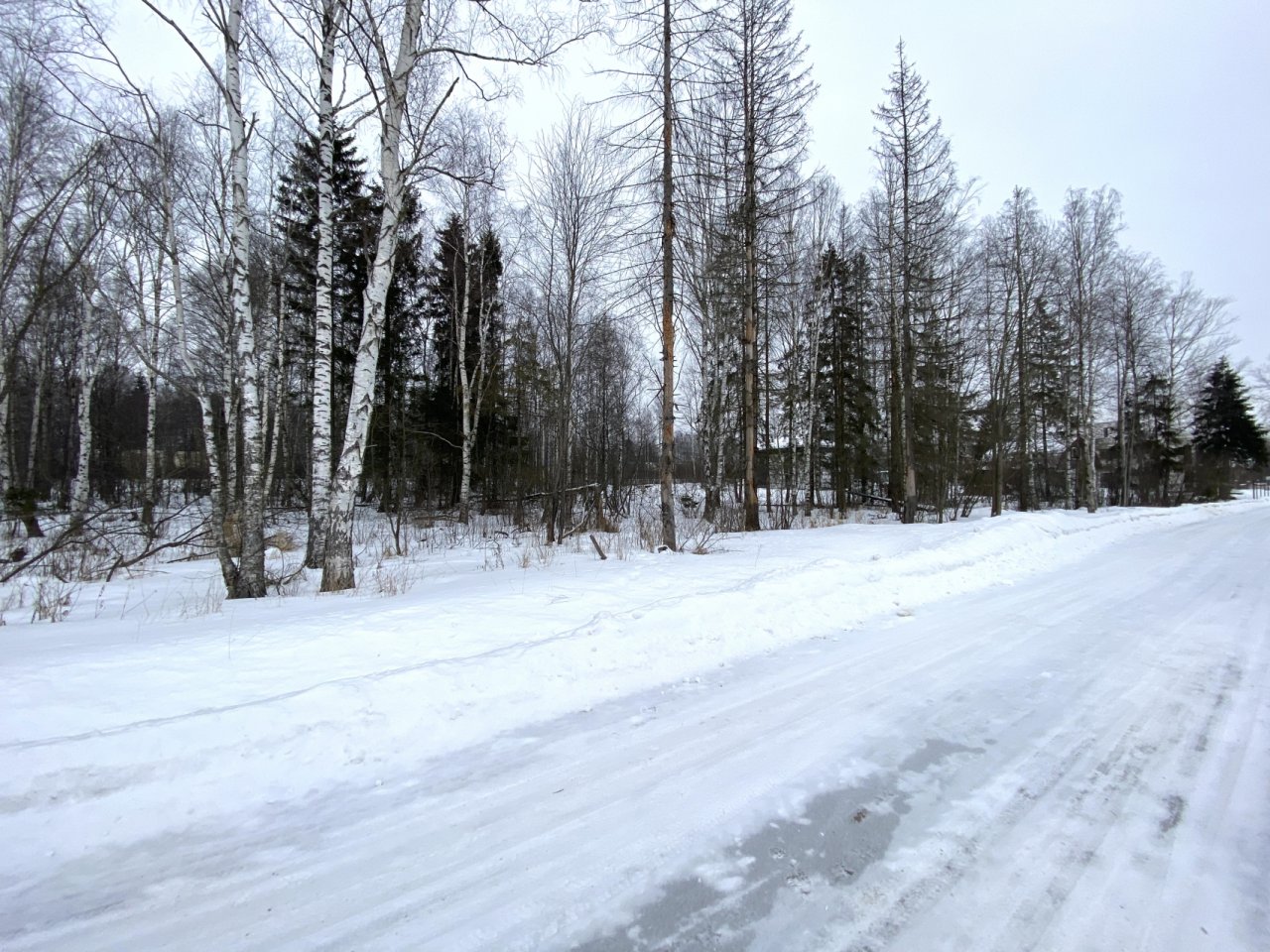 Купить Землю Под Санкт Петербургом