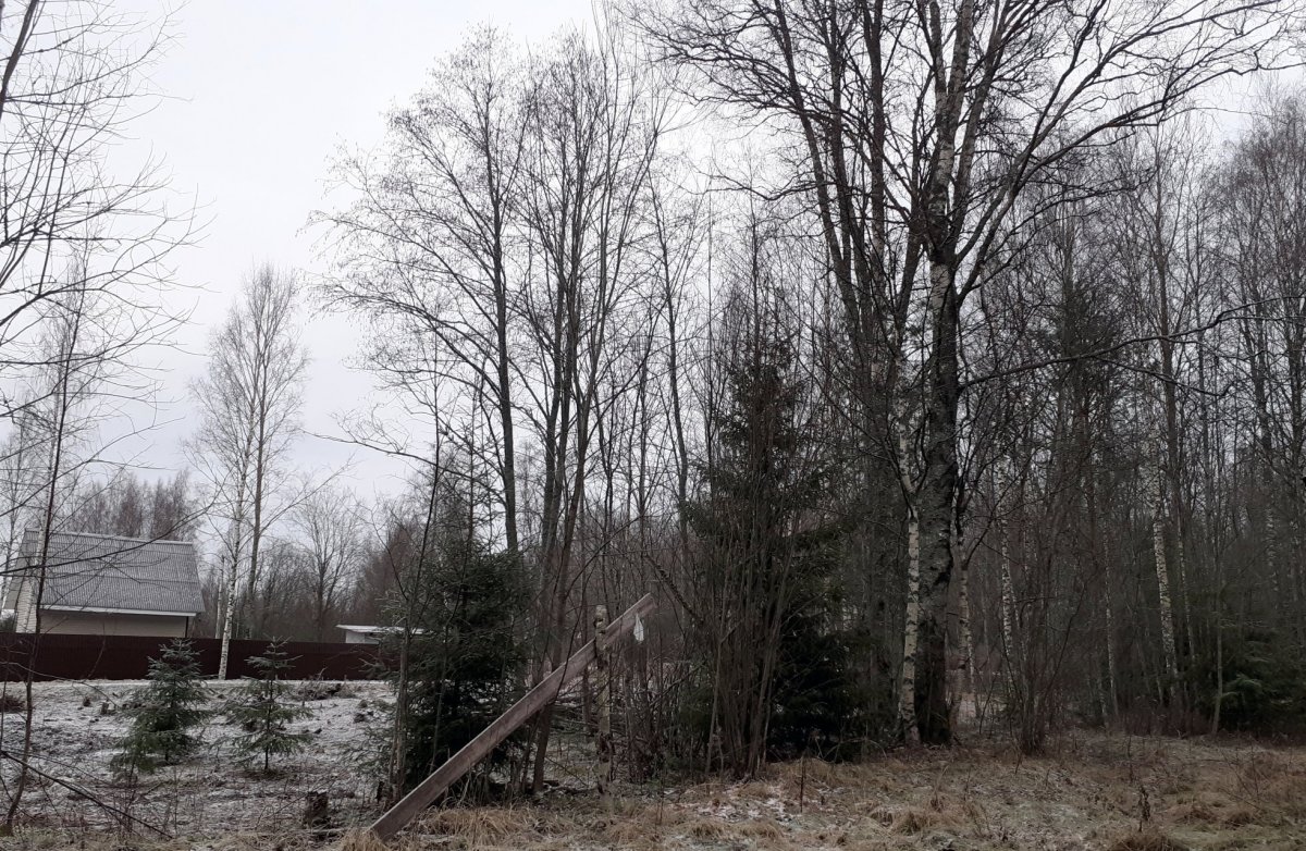 Купить Загородный дом 75 кв.м с участком 9 сот. в Выборгский район  Ленинградская область (№286387)