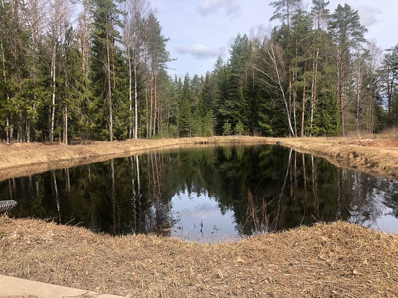 Бо земли. Мичуринское Ленинградская область. Фотографии Мшинской.