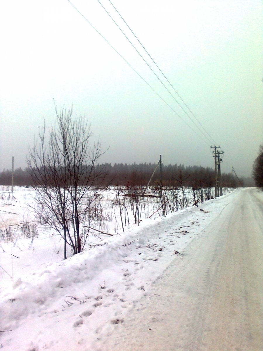 Соколовка деревня
