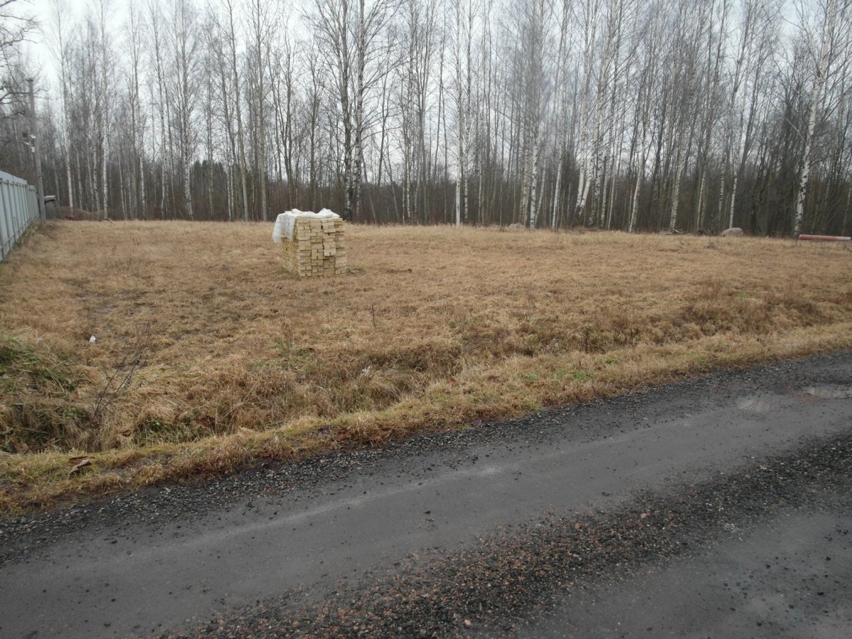 Погода романовка всеволожский. Деревня Романовка.