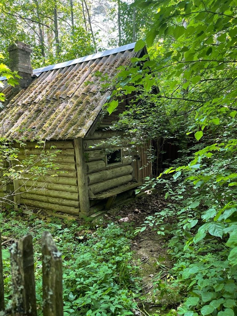 Купить Загородный дом 270 кв.м с участком 21 сот. в Лужский район  Ленинградская область (№294361)