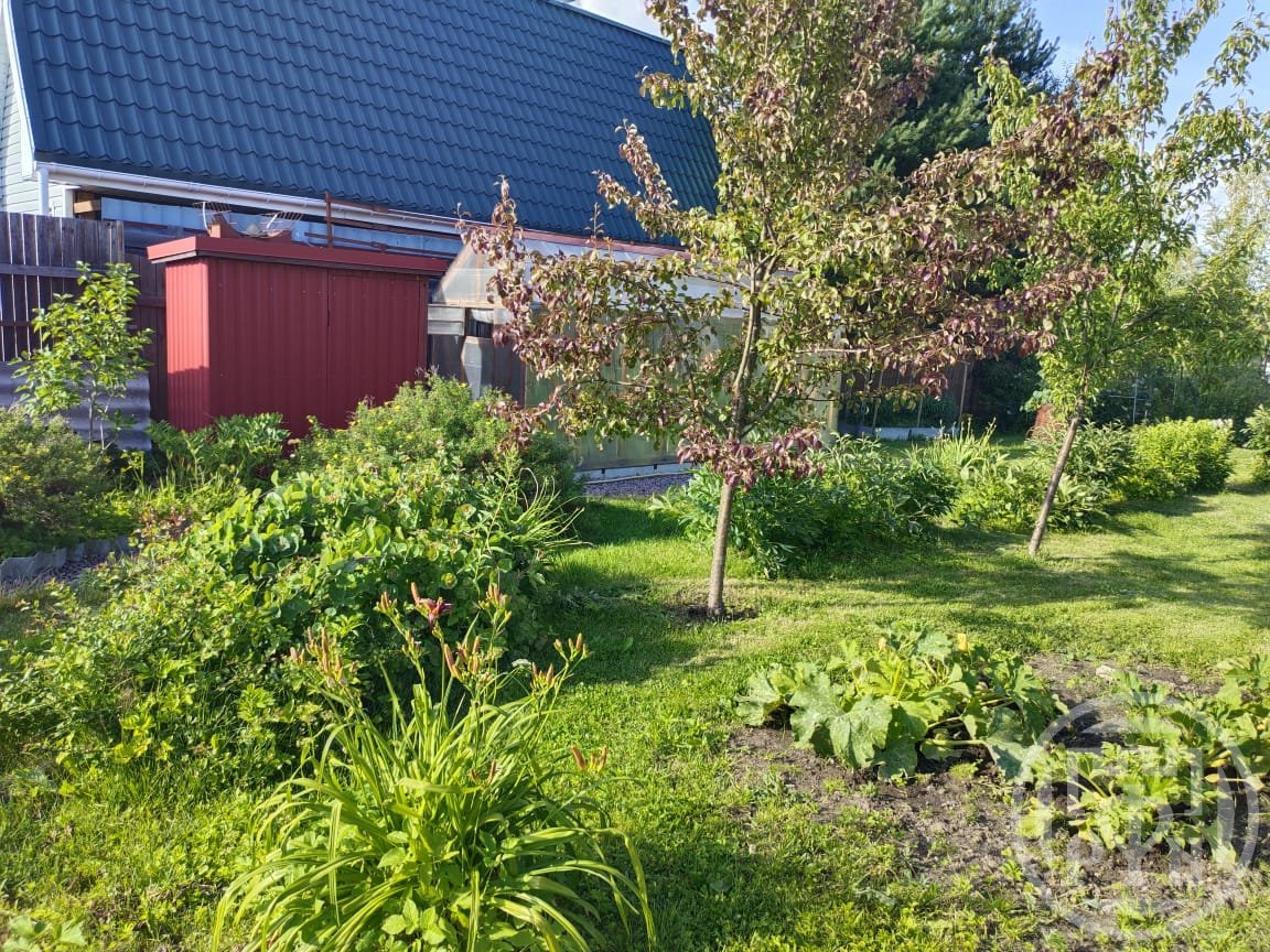 Купить Дом С Участком В Снт Невское