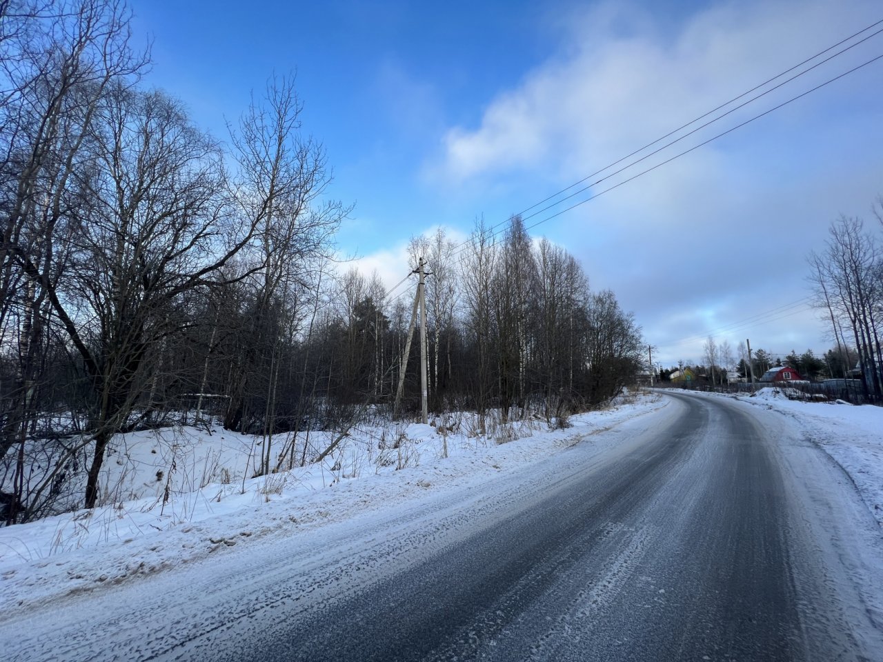 Южный Таицкий лес. Таицкое городское поселение.