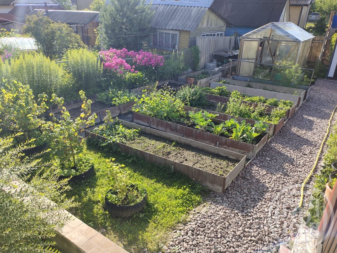 Купить Дом С Участком В Снт Невское