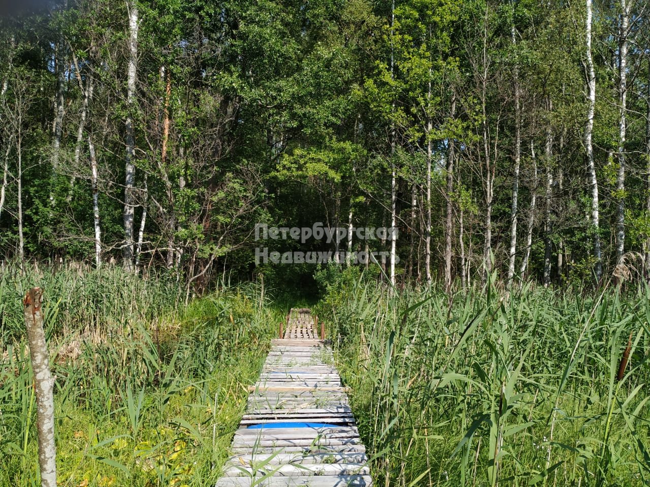 гречухино приозерский район. погода в приозерском районе гречухино. погода в приозерском районе гречухино. днп надежда гречухино. гречухино.