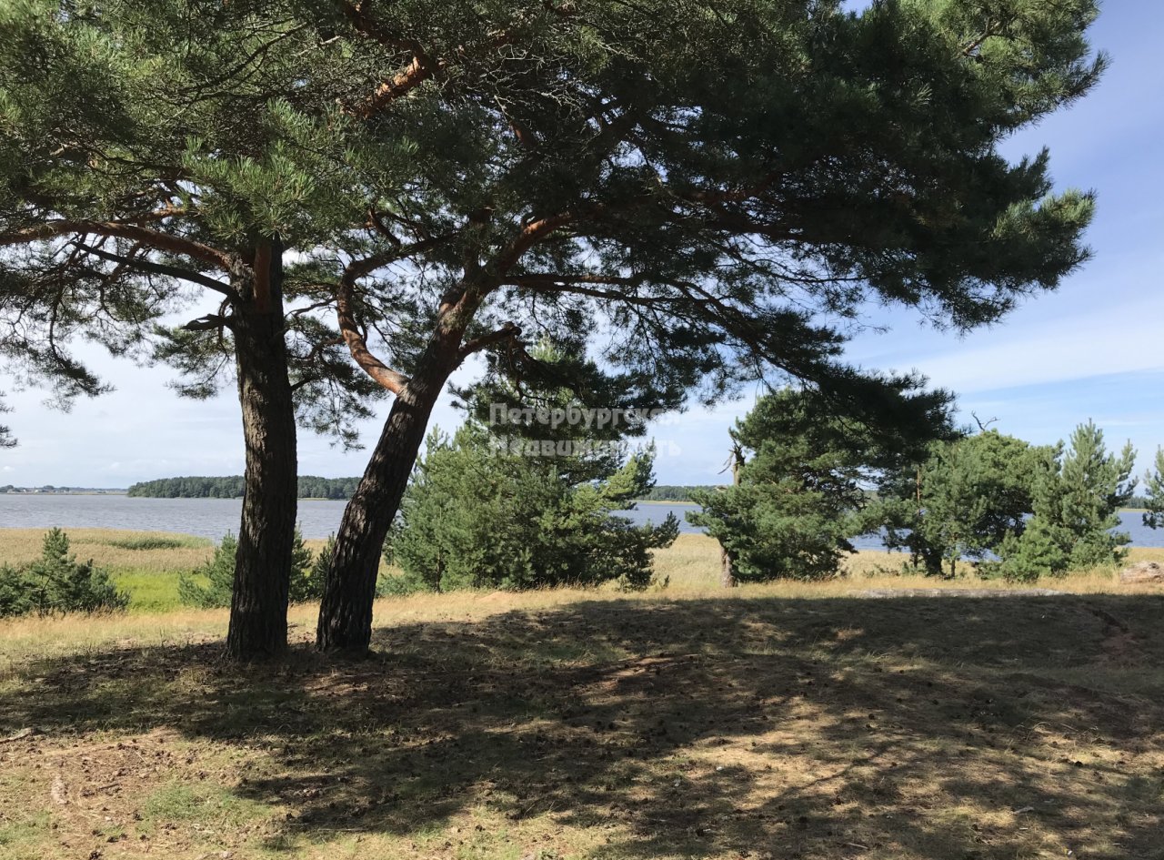 Гдовский Район Фото